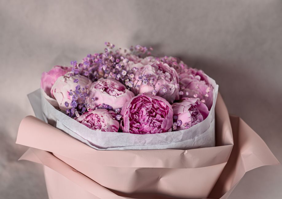 A beautiful bouquet of pink peonies and baby's breath wrapped in pastel paper, perfect for weddings or special occasions.